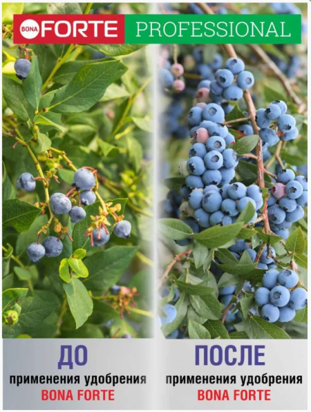 Удобрение Bona Forte для голубики с биодоступным кремнием, 1л