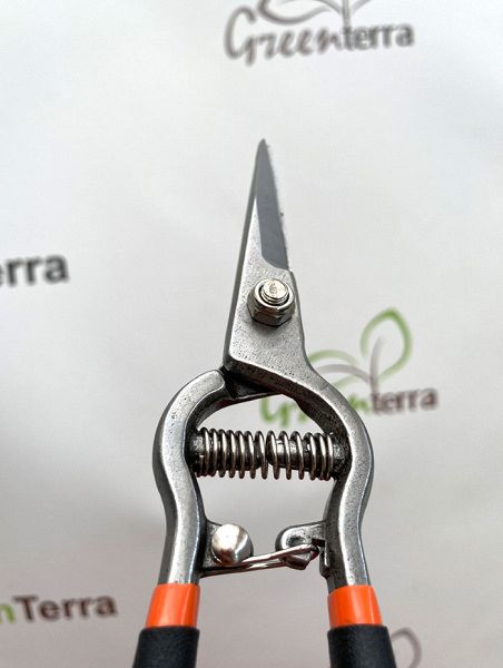 Секатор садовый прямой Bradas 8" [KT-RG1007]