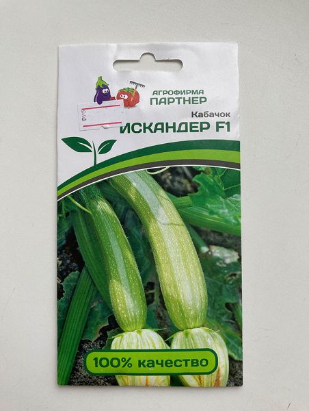 Кабачок Искандер F1