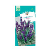 лаванда узколистная Южанка, 0.2гр