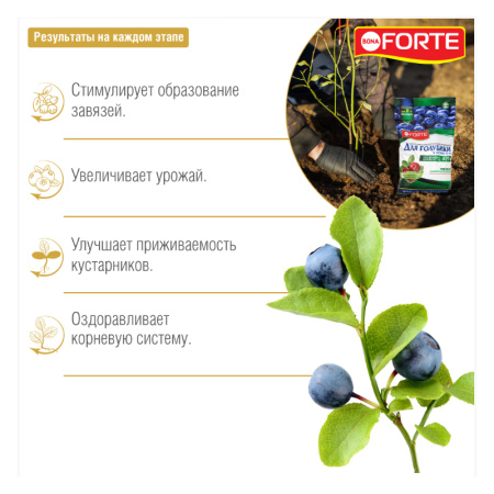 Удобрение минеральное Bona Forte "Для голубики" с цеолитом 2.5кг