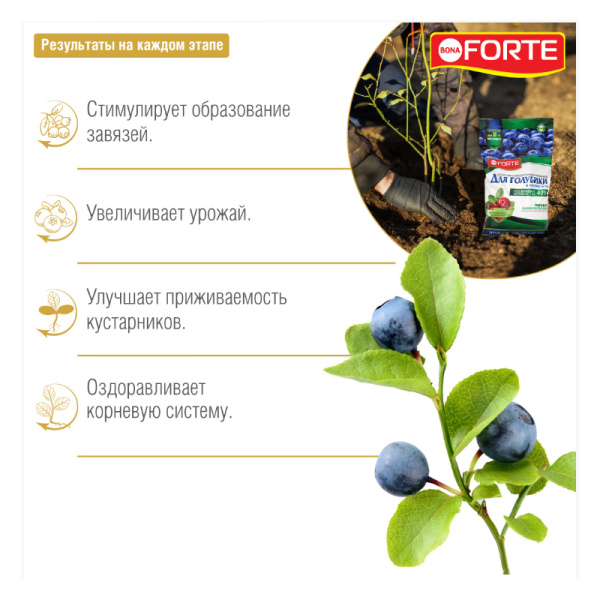 Удобрение минеральное Bona Forte "Для голубики" с цеолитом 2.5кг