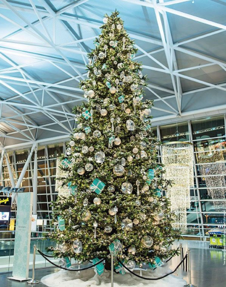 Большая ель "Моё дерево"