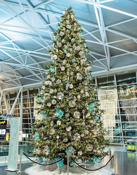 Большая ель "Моё дерево"