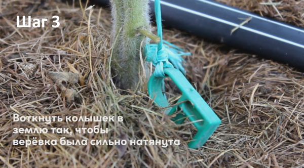 Клипса для крепления растений, уп. 50 шт.