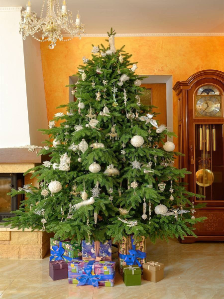 Елка "Раскидистая Премиум" 100% РЕ