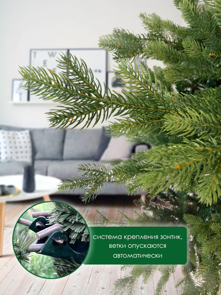 Елка "Ванкувер"