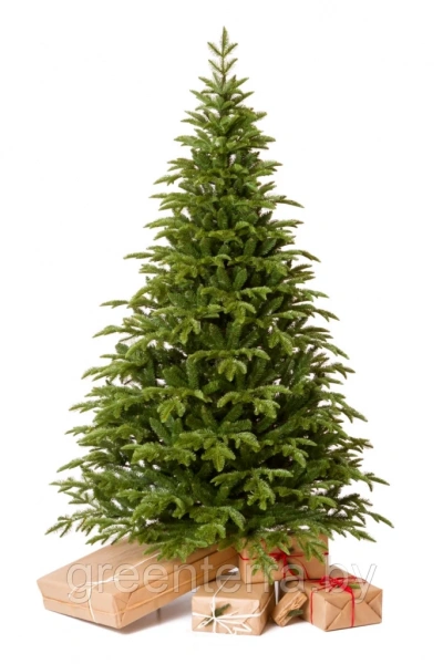 Елка "Тайга" светлая