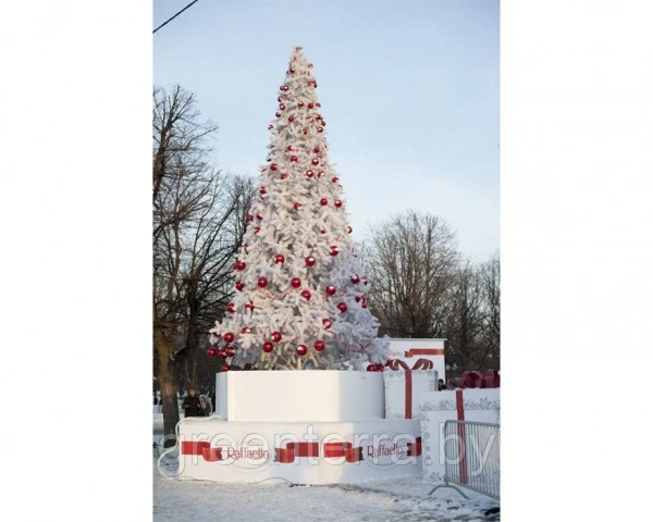 Уличная ствольная ель "Альпийская" Уличная ствольная ель "Альпийская"