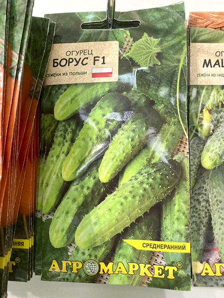 огурец Борус F1