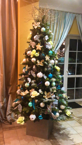 Сосна "Палермо" PE-100%