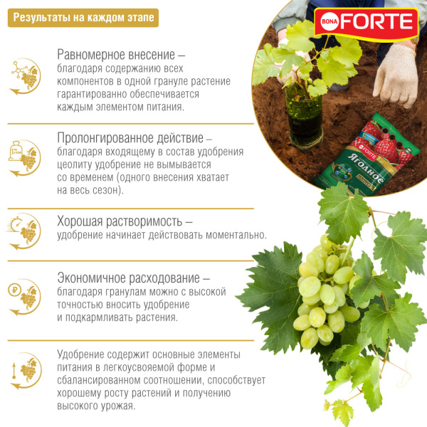 Удобрение пролонгированное Bona Forte "Ягодное" 2.5кг