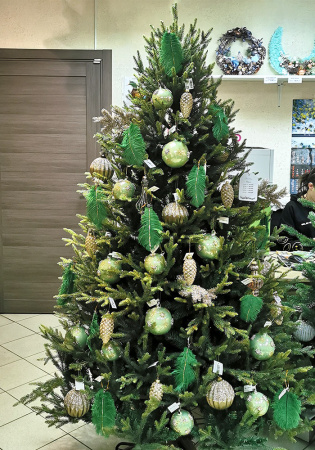 Елка "Этуаль"