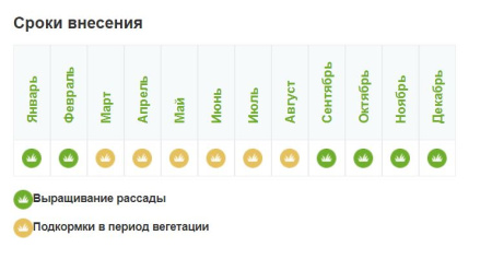 Комплексное минеральное удобрение "Leaf Power" ДЛЯ ПЕТУНИЙ И БАЛКОННЫХ ЦВЕТОВ, 15 г