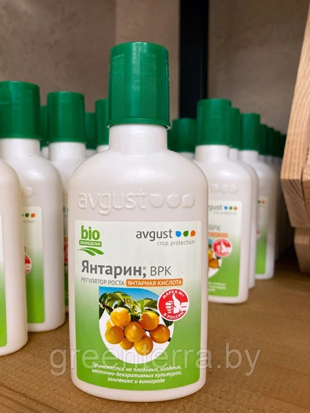 Регулятор роста "Янтарин" 100 мл