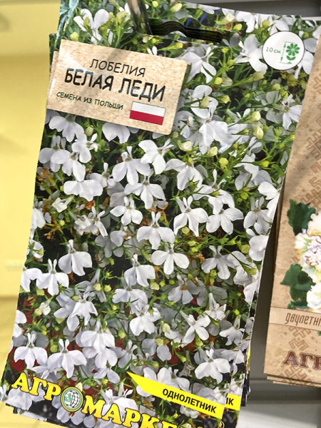 Лобелия эринус Белая леди
