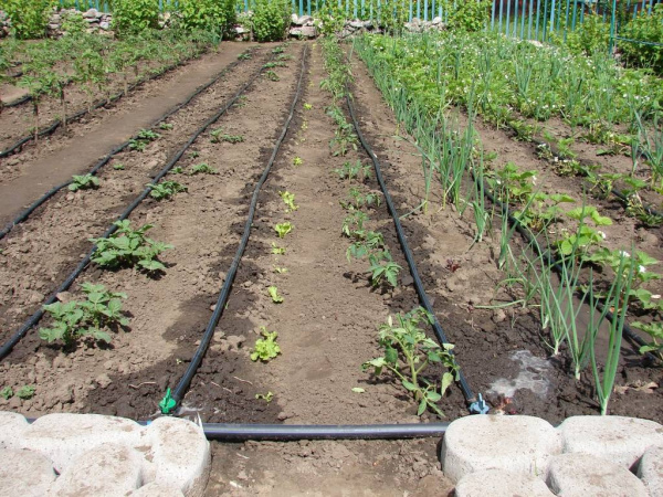 Коннектор для капельной ленты - трубки PE 16мм, DSTA08-16L [DSTA08-16L]