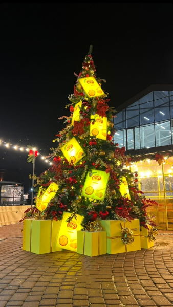 Большая ель ствольная "Премьера"