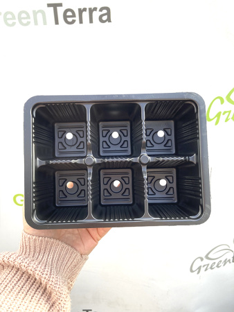 Минипарник с крышкой и кассетой на 6 ячеек