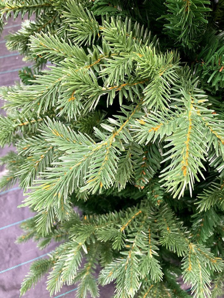 Елка "Монсанта"