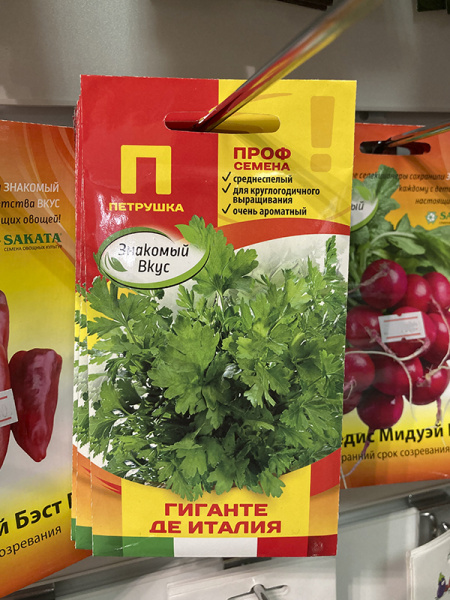 петрушка гиганте де Италия