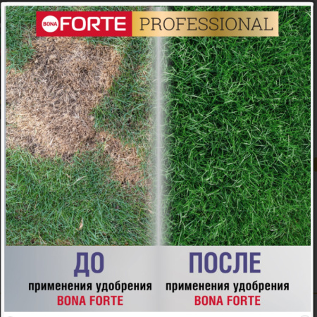 Удобрение пролонгированное Bona Forte "Для газона от МХА" 3 кг