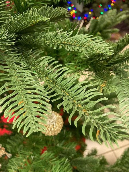 Елка "Нобилис"