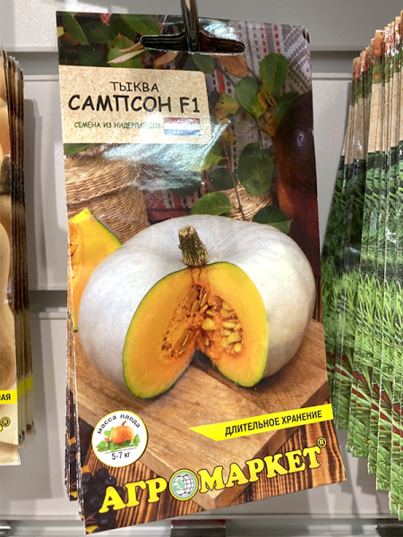 тыква Сампсон F1 (5шт.)1
