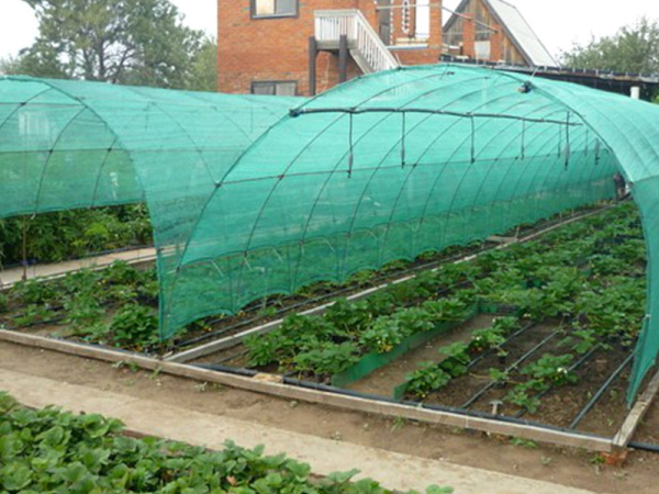 Затеняющая сетка 3х50м (затенение 35%)