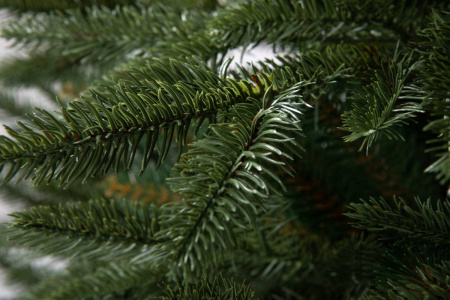 Елка "Калифорния"