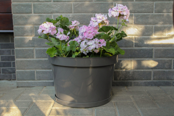 Горшок для цветов "Фикус 20" 20л, графит [00252]