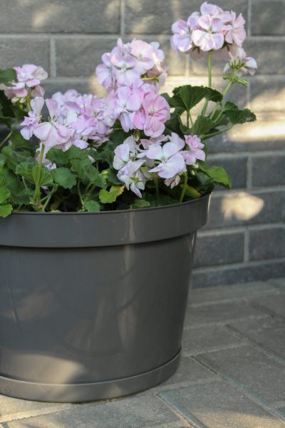 Горшок для цветов "Фикус 20" 20л, графит [00252]