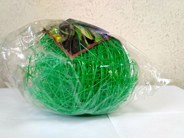 Сетка шпалерная для поддержки вьющихся растений 2*15 м