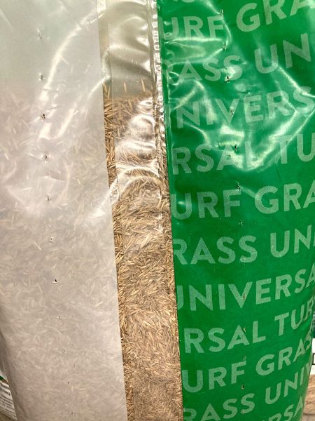 Семена газонных трав "Robustica" 1 кг