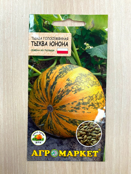 тыква Юнона (голосемянная)