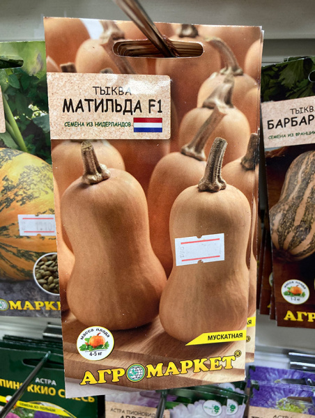 тыква Матильда F1