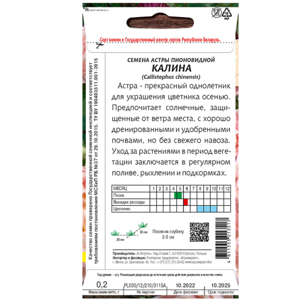 астра пионовидная Калина