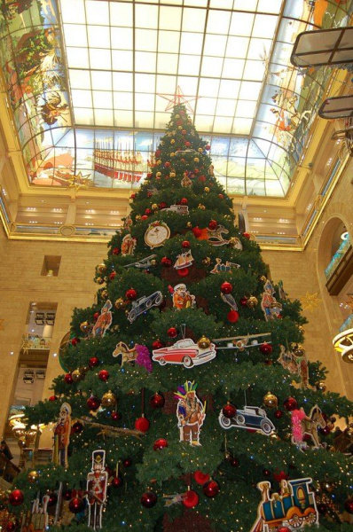 Ель ствольная "Таежная"