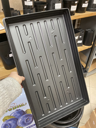 Поддон ГЛУБОКИЙ под кассету для рассады, 5 см Поддон ГЛУБОКИЙ под кассету для рассады, 5 см