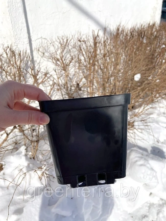 Горшок для рассады квадратный литой 1.5 л, 13*13*13 см.
