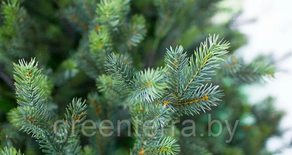 Ель интерьерная "Сказочная" премиум