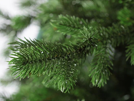 Елка "Астерия Премиум" 100% РЕ