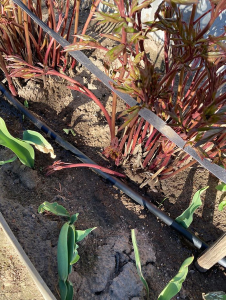 Лента капельного полива Aqua Pipe (7/200/50), 50 м. пог.