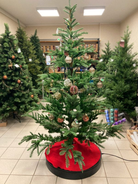 Елка "Нобилис"