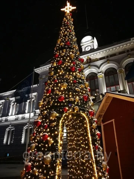 Большая уличная каркасная "Ель с аркой" Большая уличная каркасная "Ель с аркой"