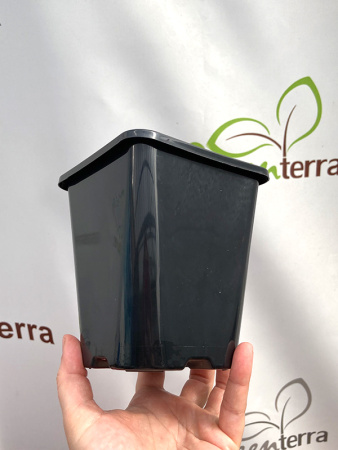 Горшок для рассады квадратный литой 1 л, 11*11*11 см (круглое дно)