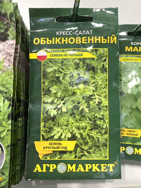 кресс-салат обыкновенный