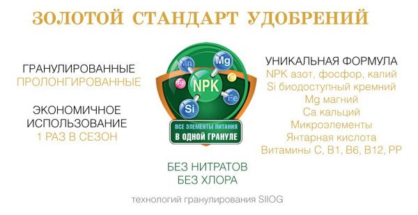 Bona Forte пролонгированное универсальное 5 кг