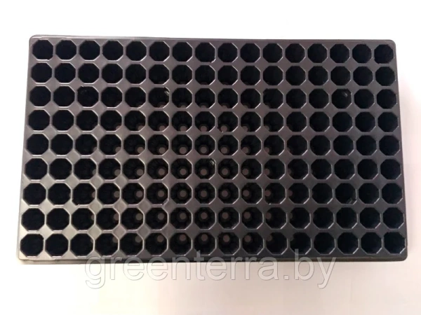 Кассета для рассады, 144 ячейки (32мл)