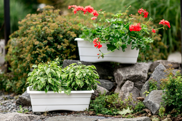 Ящик балконный для цветов рельефный, (белый) №3